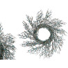 COURONNE BRANCHE BLEU 