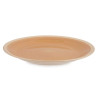 PLATO LLANO GRANDE GRES BEIGE BORDE 26,5CM