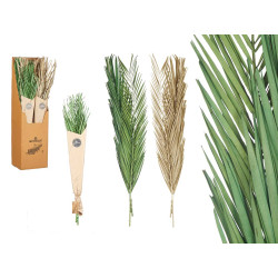 BOUQUET DE FEUILLES DE PALMIER VERT