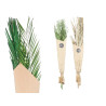 BOUQUET DE FEUILLES DE PALMIER VERT