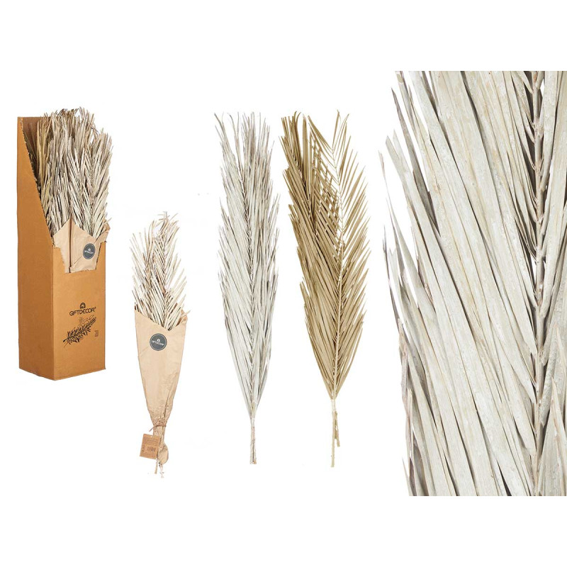 BOUQUET DE FEUILLES DE PALMIER BLANC