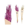 BOUQUET PALM TREE LEAVES LAVENDER