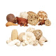 SET POTPOURRI SQUARE 2 MODELS ASSORT