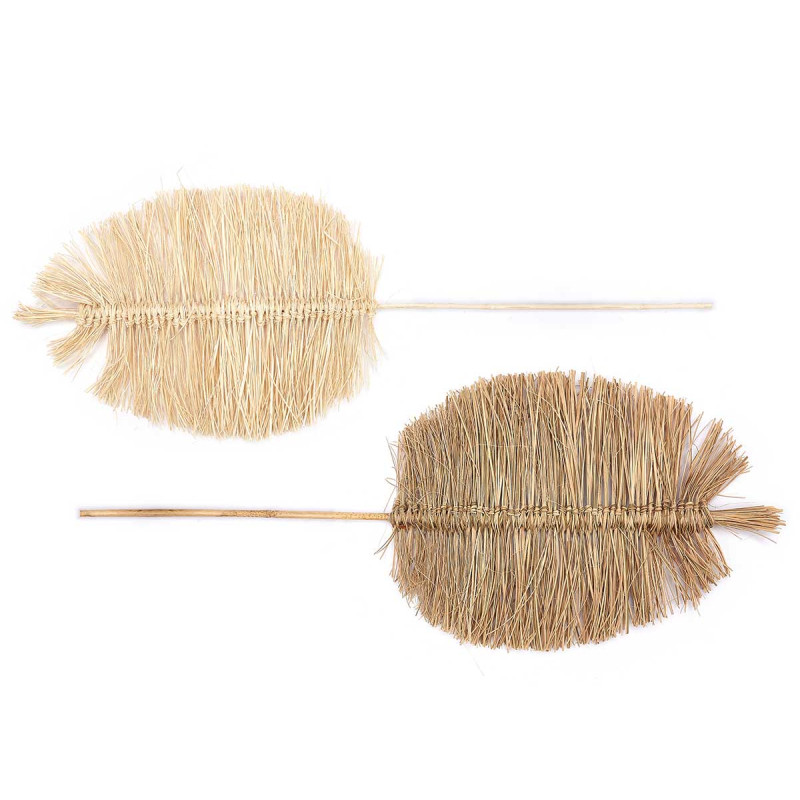 PALM LEAF MEDIUM 2 COLOURS ASSORT