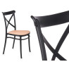 CHAISE ROTIN PLASTIQUE NOIR BEIGE