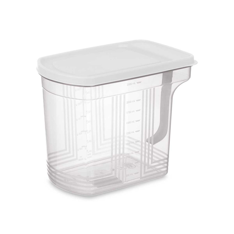 ORGANISER WITH HANDLE 2,5 L TRANSPARENT WHITE