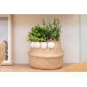 CESTA JUNCO MARINO 35CM NATURAL POMPONES