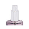 HOME SCENT 70 ML APPLE AND CINNAMON