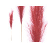 DECORATIVE BRANCH 110CM CORAL RED