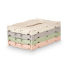 BOÎTE PLIANTE MULTI-USAGE 4L ASSORT 4 COULEURS