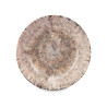 ASSIETTE CREUSE PORCELAINE 21CM EXPLOSION