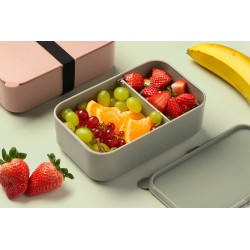 TUPPER ASSORTED 3 COLOURS