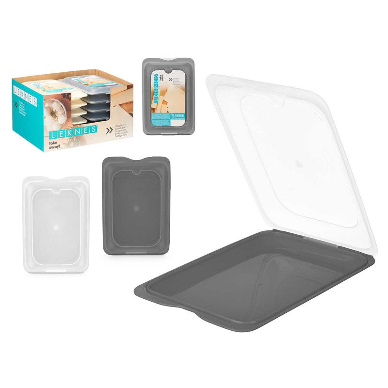 FLAT LUNCH BOX ASSORTED 2 COLOURS