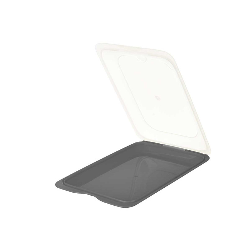 FLAT LUNCH BOX ASSORTED 2 COLOURS