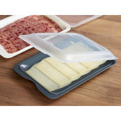 FLAT LUNCH BOX ASSORTED 2 COLOURS