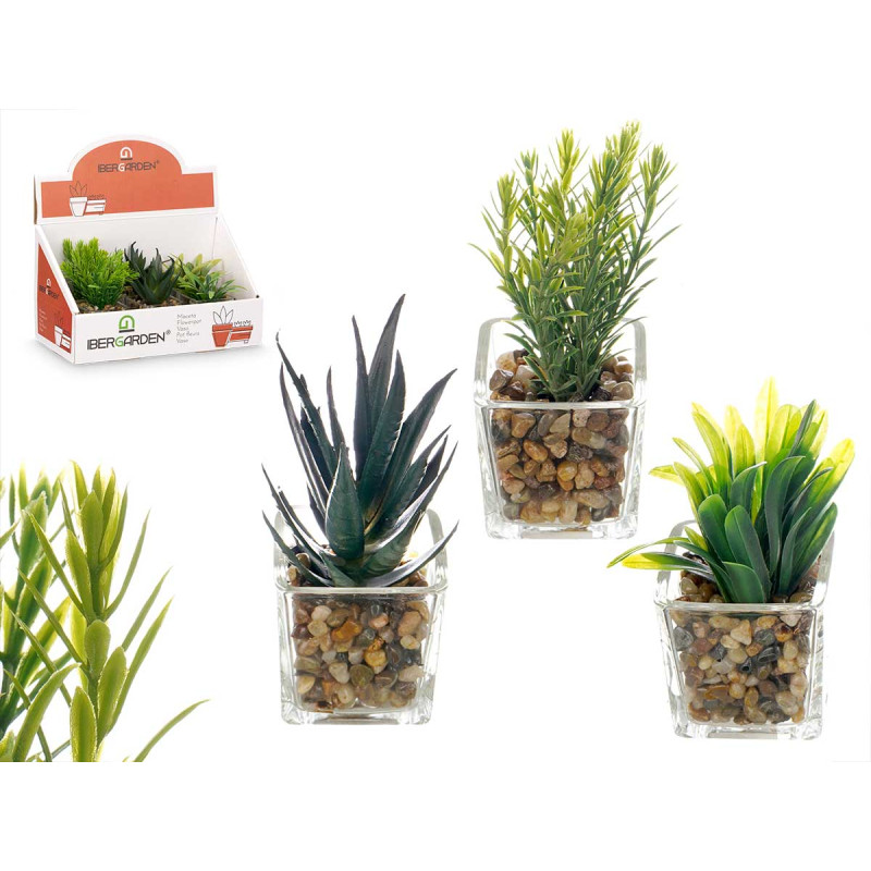 VASO VIDRO PLANTA SORT 3