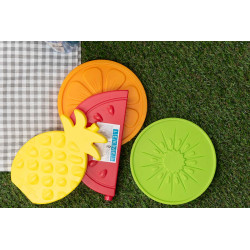 ICE COLD BLOCK PINEAPPLE