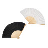 FAN ASSORTED 2