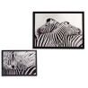CUADRO EFECTO ALUMINIO CEBRA SURT 2 77X107CM