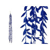 RAMILLETE NAVIDAD AZUL 100CM