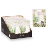 ELECTRIC AIR FRESHENER JAZMINE SCENT 20ML