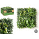 GIARDINO VERTICALE FOGLIA VIOLA GIALLA 50X50CM