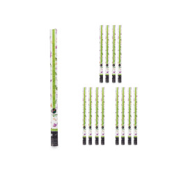 PARTY POPPER EUROS 80 CM