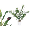 OLIVE TREE 58CM