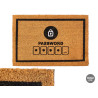40X60 PASSWORD DOORMAT 