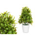 PLANTA GRANDE VERDE HOJAS FINAS MACETA BLANCA