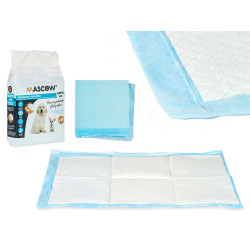 10 PIECES 40X60CM TRAINING PAD WITH ADHESIVE