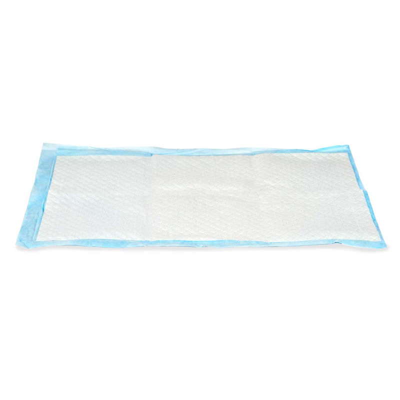 10 PIECES 40X60CM TRAINING PAD WITH ADHESIVE