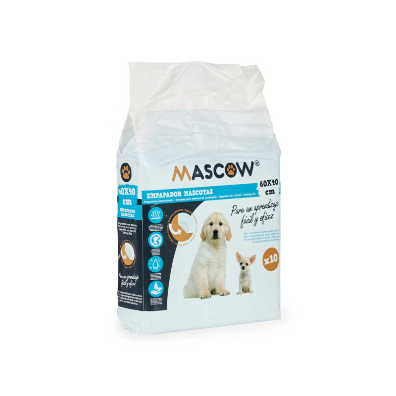 10 PIECES 40X60CM TRAINING PAD WITH ADHESIVE