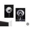 QUADRO TELA CORNICE BALLETTO ASS 2 50X70