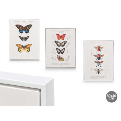 QUADRO TELA CORNICE BIANCA FARFALLA ASS 3