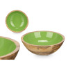 ASSIETTE CREUSE 20 CM EN BOIS AVEC MANCHE VERT