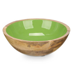 ASSIETTE CREUSE 20 CM EN BOIS AVEC MANCHE VERT