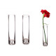 VASE VERRE OVALE