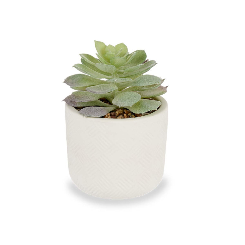 PLANTA FOLHA REDONDA COM VASO BRANCO 9X14CM 