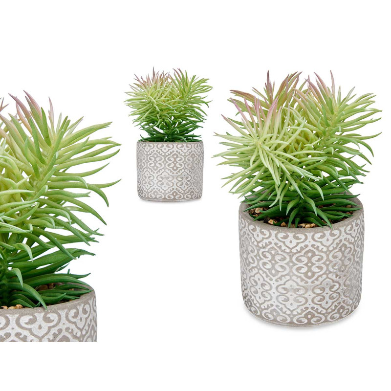 FINE LEAF PLANT IN GREY POT 