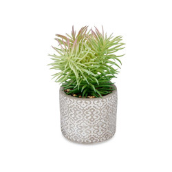 FINE LEAF PLANT IN GREY POT 
