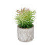 FINE LEAF PLANT IN GREY POT 