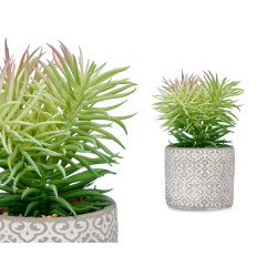 FINE LEAF PLANT IN GREY POT 