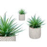 PLANTE FEUILL POINT POT FLEUR GRIS 
