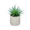 PLANT LEAF TIP IN GREY POT