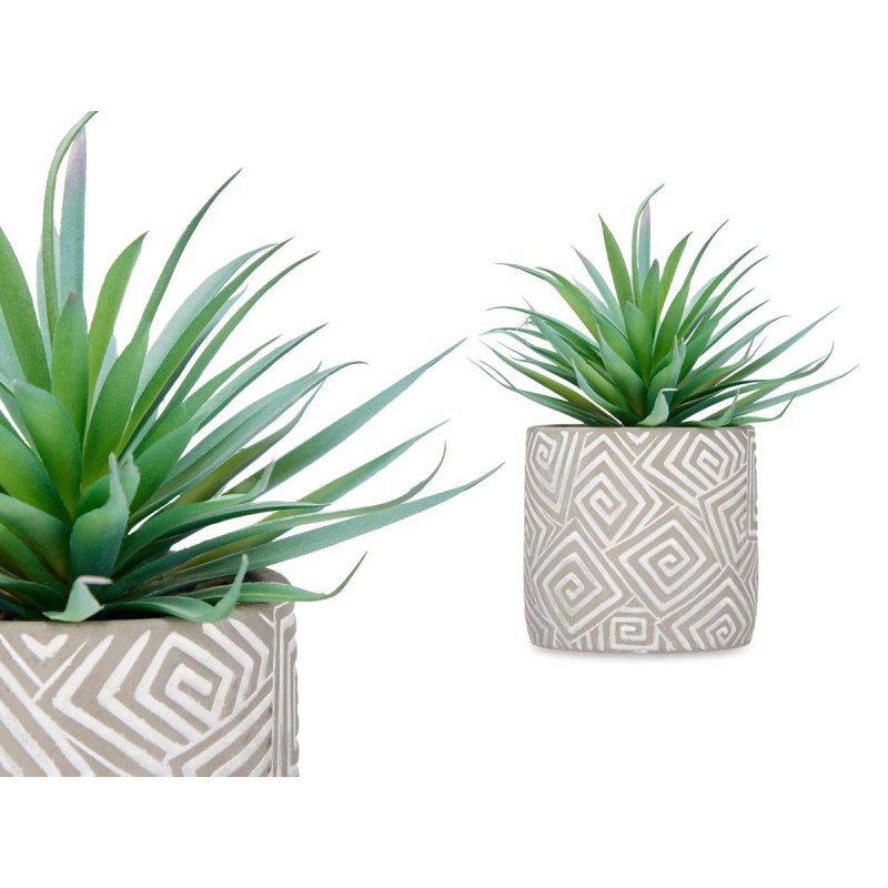 PLANT LEAF TIP IN GREY POT