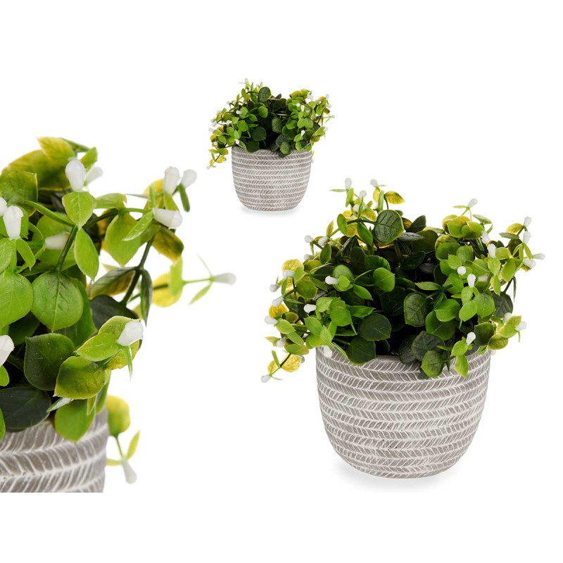 PLANTA VERDE FLOR BRANCA COM VASO CINZENTO 