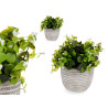PLANTA VERDE FLOR BRANCA COM VASO CINZENTO 