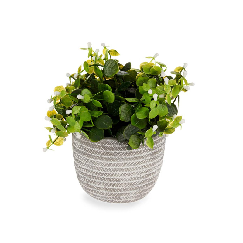 PLANTA VERDE FLOR BRANCA COM VASO CINZENTO 