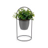 ROUND LEAF PLANT WITH GREY METAL BASE 